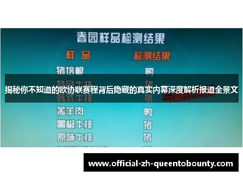 揭秘你不知道的欧协联赛程背后隐藏的真实内幕深度解析报道全景文